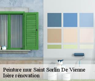 Peinture mur  saint-sorlin-de-vienne-38200 Isère rénovation