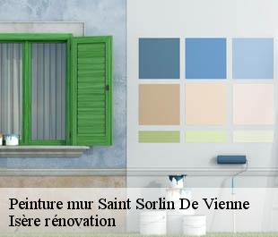 Peinture mur saint-sorlin-de-vienne-38200 Isère rénovation