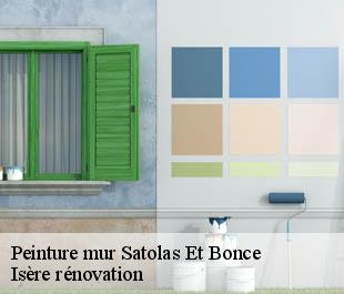 Peinture mur  satolas-et-bonce-38290 Isère rénovation