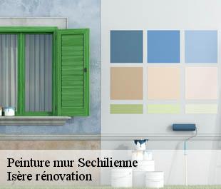 Peinture mur  sechilienne-38220 Isère rénovation