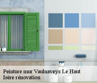 Peinture mur  vaulnaveys-le-haut-38410 Isère rénovation