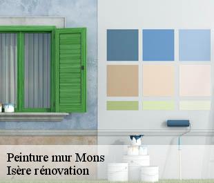Peinture mur  mons-38280 Isère rénovation