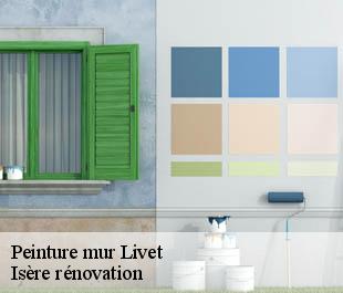 Peinture mur livet-38220 Isère rénovation