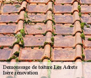 Demoussage de toiture les-adrets-38190 Isère rénovation