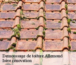 Demoussage de toiture  allemond-38114 Isère rénovation