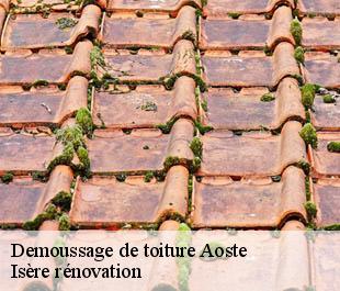Demoussage de toiture aoste-38490 Isère rénovation