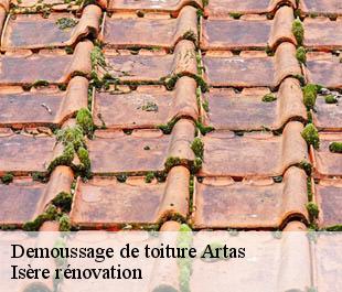 Demoussage de toiture  artas-38440 Isère rénovation