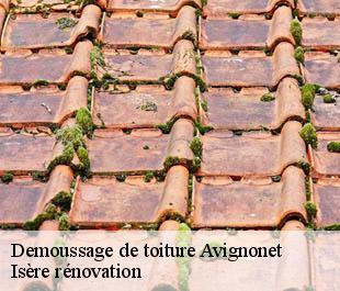 Demoussage de toiture  avignonet-38650 Isère rénovation