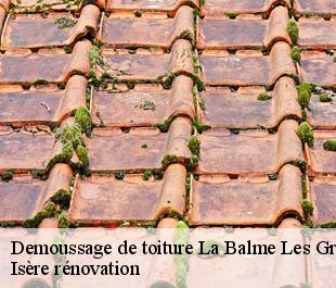 Demoussage de toiture  la-balme-les-grottes-38390 Isère rénovation