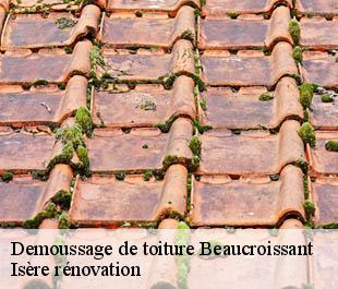 Demoussage de toiture  beaucroissant-38140 Isère rénovation