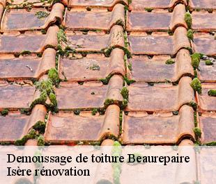 Demoussage de toiture  beaurepaire-38270 Isère rénovation