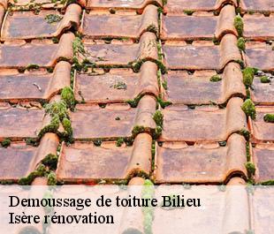 Demoussage de toiture bilieu-38850 Isère rénovation