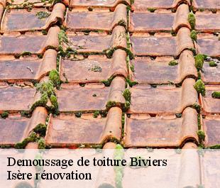 Demoussage de toiture  biviers-38330 Isère rénovation
