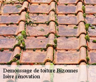 Demoussage de toiture  bizonnes-38690 Isère rénovation