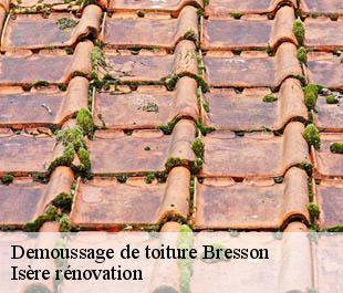 Demoussage de toiture bresson-38320 Isère rénovation