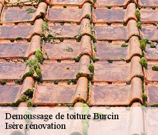 Demoussage de toiture  burcin-38690 Isère rénovation