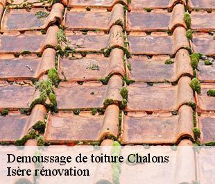 Demoussage de toiture  chalons-38122 Isère rénovation