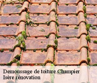 Demoussage de toiture  champier-38260 Isère rénovation
