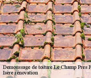 Demoussage de toiture le-champ-pres-froges-38190 Isère rénovation