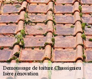 Demoussage de toiture  chassignieu-38730 Isère rénovation