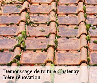Demoussage de toiture  chatenay-38980 Isère rénovation