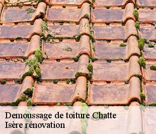 Demoussage de toiture  chatte-38160 Isère rénovation