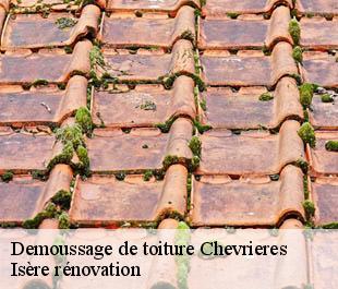 Demoussage de toiture  chevrieres-38160 Isère rénovation