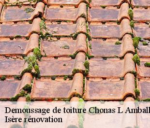 Demoussage de toiture chonas-l-amballan-38121 Isère rénovation