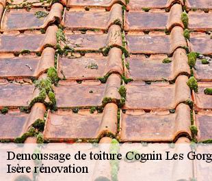 Demoussage de toiture  cognin-les-gorges-38470 Isère rénovation