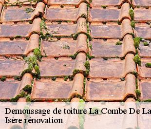 Demoussage de toiture  la-combe-de-lancey-38190 Isère rénovation