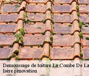 Demoussage de toiture la-combe-de-lancey-38190 Isère rénovation