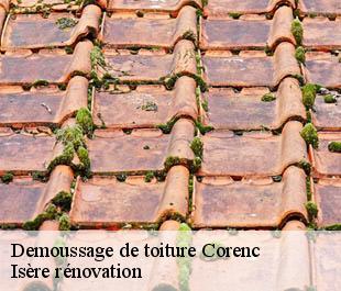 Demoussage de toiture  corenc-38700 Isère rénovation