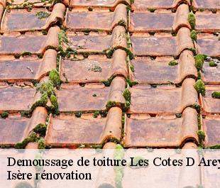 Demoussage de toiture  les-cotes-d-arey-38138 Isère rénovation