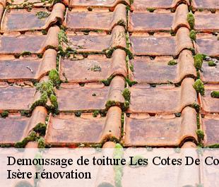 Demoussage de toiture  les-cotes-de-corps-38970 Isère rénovation