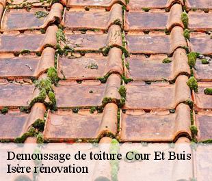 Demoussage de toiture  cour-et-buis-38122 Isère rénovation