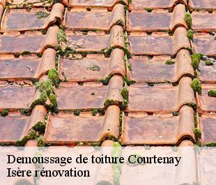 Demoussage de toiture  courtenay-38510 Isère rénovation