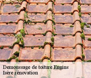 Demoussage de toiture  engins-38360 Isère rénovation