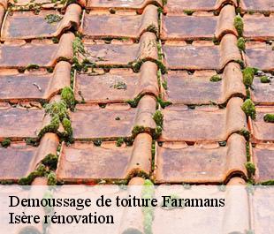 Demoussage de toiture  faramans-38260 Isère rénovation