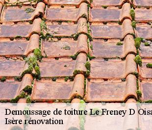 Demoussage de toiture  le-freney-d-oisans-38142 Isère rénovation