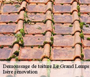Demoussage de toiture le-grand-lemps-38690 Isère rénovation