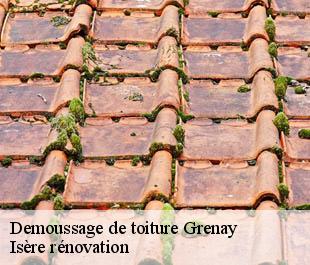 Demoussage de toiture  grenay-38540 Isère rénovation