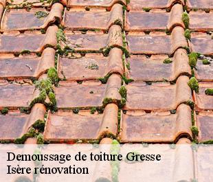 Demoussage de toiture  gresse-38650 Isère rénovation