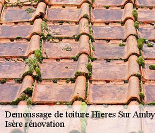 Demoussage de toiture  hieres-sur-amby-38118 Isère rénovation
