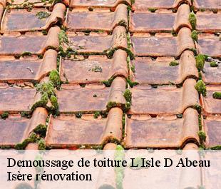 Demoussage de toiture  l-isle-d-abeau-38080 Isère rénovation