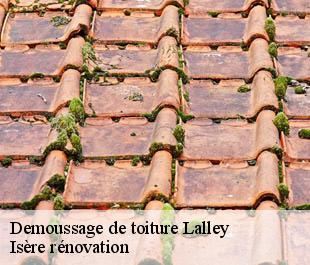 Demoussage de toiture lalley-38930 Isère rénovation