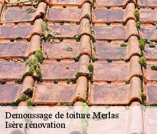 Demoussage de toiture merlas-38620 Isère rénovation