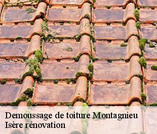 Demoussage de toiture montagnieu-38110 Isère rénovation
