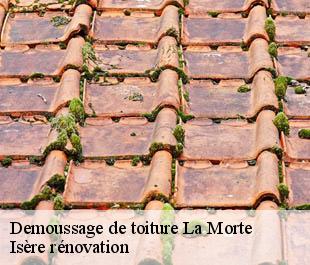 Demoussage de toiture la-morte-38350 Isère rénovation