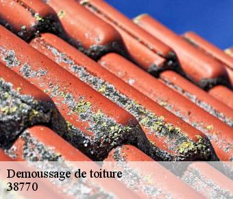 Demoussage de toiture  38770