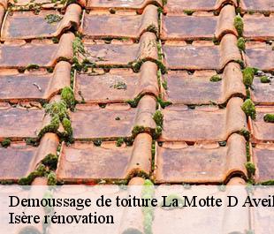 Demoussage de toiture la-motte-d-aveillans-38770 Isère rénovation